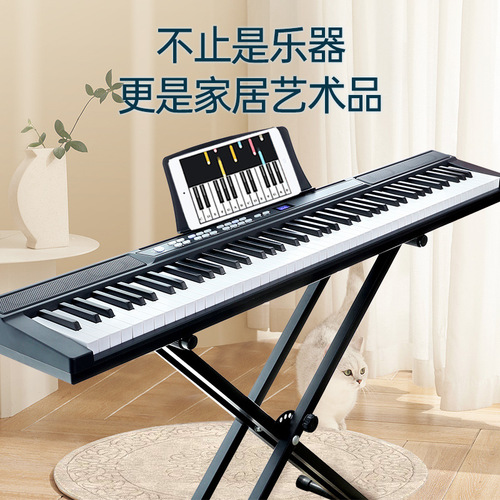 Bachmann Electronic Piano 88-Key Touch Sensitivity Home Electronic Keyboard Professional Examination Adult Teacher Education Piano