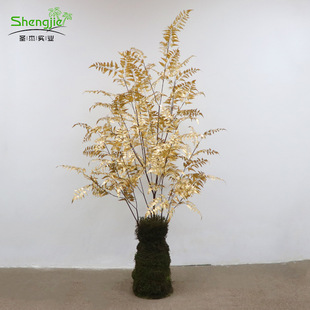 ����ֲ�ﲨ˹�Dާ�������~ �͏d���b�ꙻ���辰�F��ާ ����ާ��