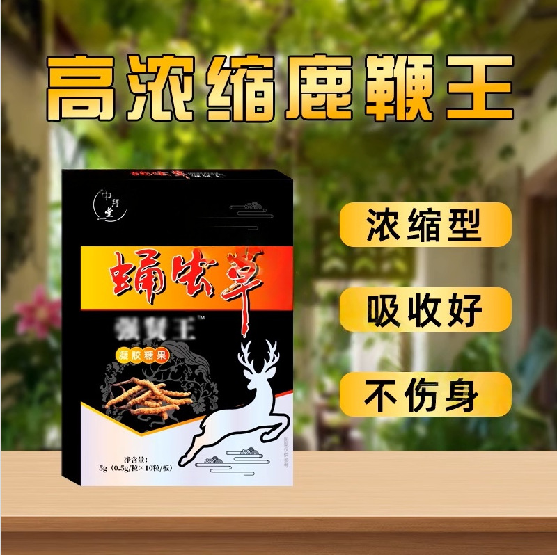 老牌子鹿鞭虫草王 一盒10粒正品
