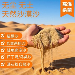��Ȼɰ�B����x���}��ɳԡɳĮ�쾰��ɳ������ɳ؈ɰ��ɳ�๦�܌�