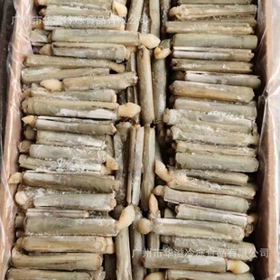 ����|�� ���|�� 20��/�� ������Æ΃����}�� ���}��