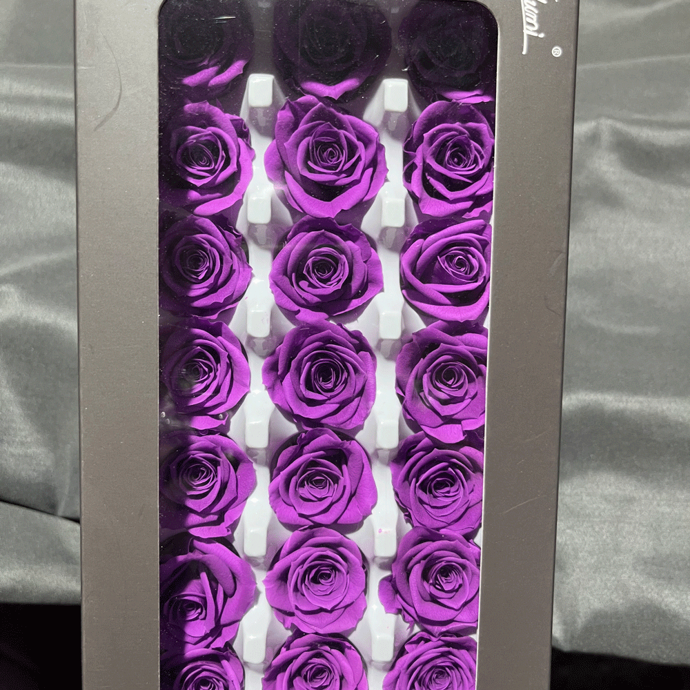 Cabezas de Rosas Preservadas para Manualidades 2-3 cm, Flor Preservada, para San Valentín image 10