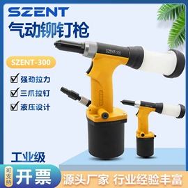 铆钉;气动铆钉枪;螺母