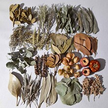 ����~��Ȼֲ��˱��h������n�øɻ��~�ӹ��Ӹɹ�DIY�ֹ�����