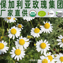  {ʾՆη ԭbM l USDAJC