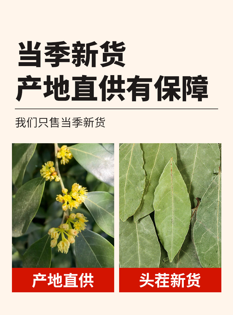 Bay Leaves (Laurus nobilis) — Dried Whole Leaf Spice for Braising & Stews, 15g Pouch quality and texture