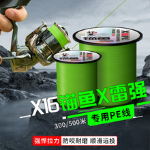 �^�~����X16 PE��·����������ĥ����������~���������W���׏���