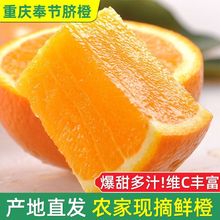 重庆忠县夏橙橙子新鲜夏当季甜橙子水果5斤批发整箱现摘孕妇便宜9