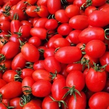 现摘圣女果小番茄西红柿新鲜水果樱桃番茄新鲜蔬菜孕妇水果速卖通