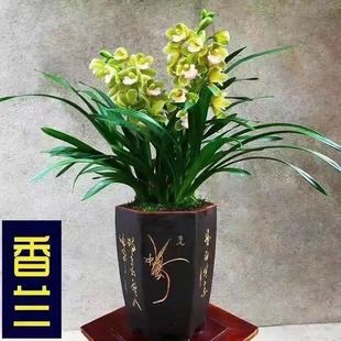 ���ͺ����������m�����҃������m������ī�m���m�󻨰����˻��͏d