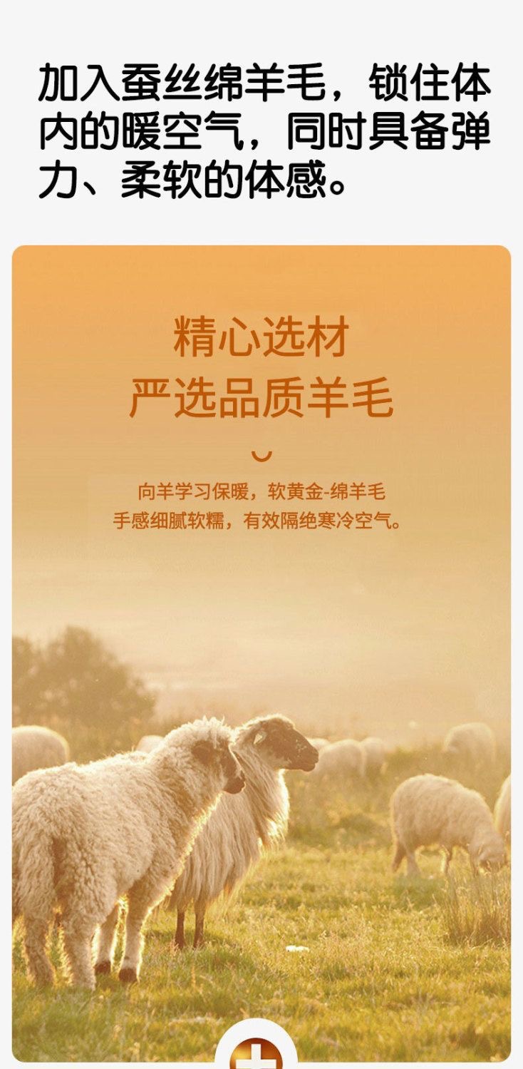 微信图片_20241012233042.jpg