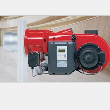 德国Weishaupt威索WM-G10/1电子比调燃烧器