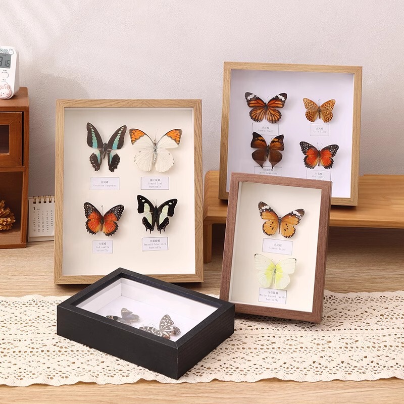 Hollow Photo Frame Table Handmade DIY Butterfly A4 Insect Specimen Box Stereo Frame Dried Flower Preservation Display Frame Picture Frame