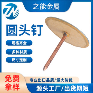 Flat Head Thumbtacks, Extended and Thickened Soft-Packed Foam Nails for Sofa Decoration, Wallpaper Fixing, Cement Antique-Style Push Pins, Flat Round Shape