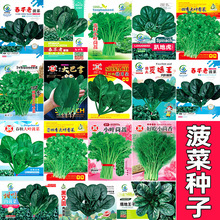 ���~���˷N���ļ��߲˶����ѷN����N���ͺ��˷N���Բ����ݲ�����