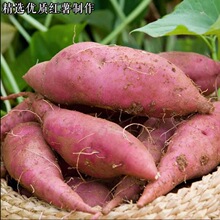 �t���۵����r���ֹ�ʳ�üt�����۷�����ɽ��ۼt��۹�