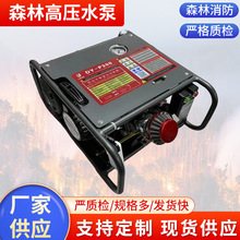 ��yʽɭ�ָ߉������ó���������ؓʽ�ߓP�̸߉����������x�ı�