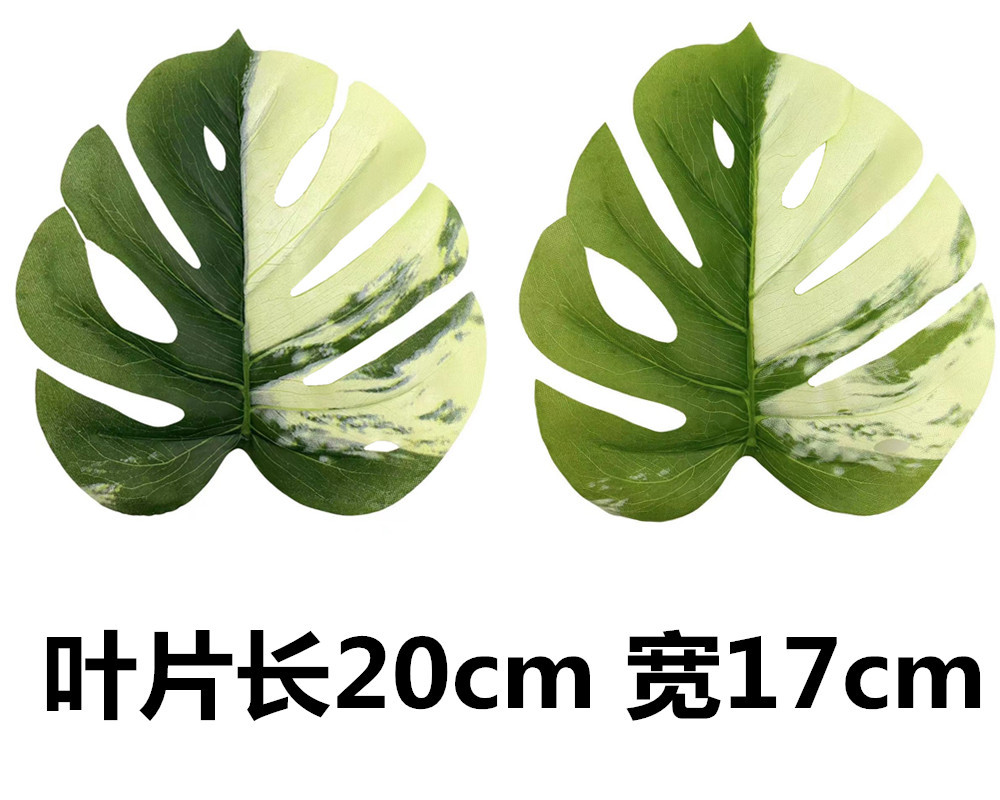 未命名_副本2