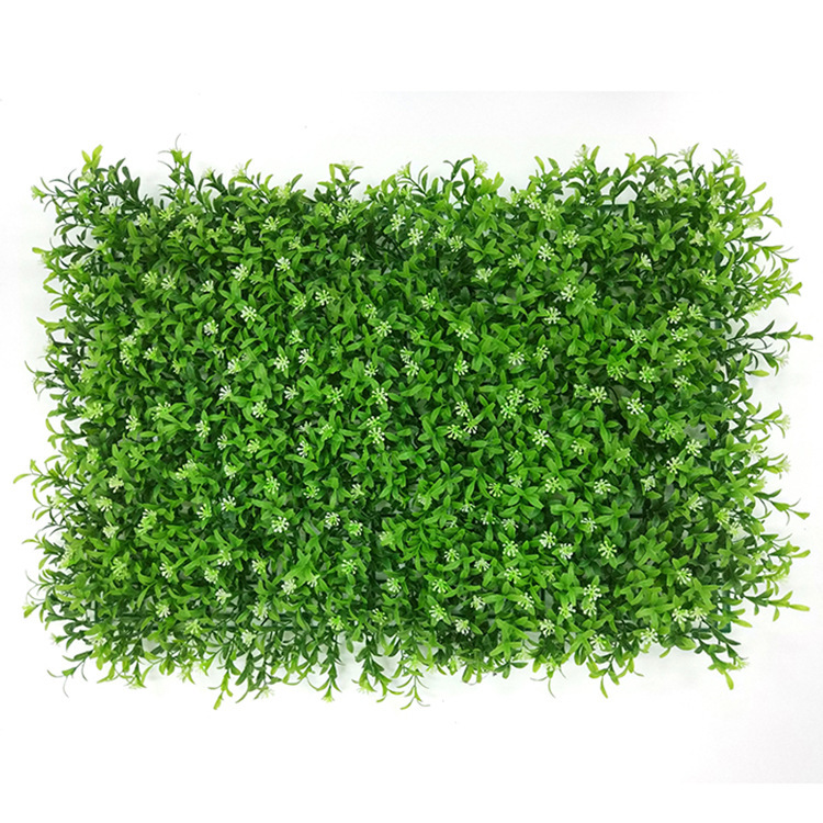 Hierba del punto de la estrella