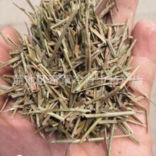 ���,���~,��~,���l��ș���ɿ��Ɍ�ֲ�����Rβ�ɵȵ���~