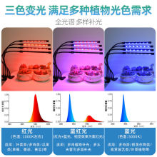 植物生长灯多肉补光灯家用上色仿太阳光室内光谱绿植独立站