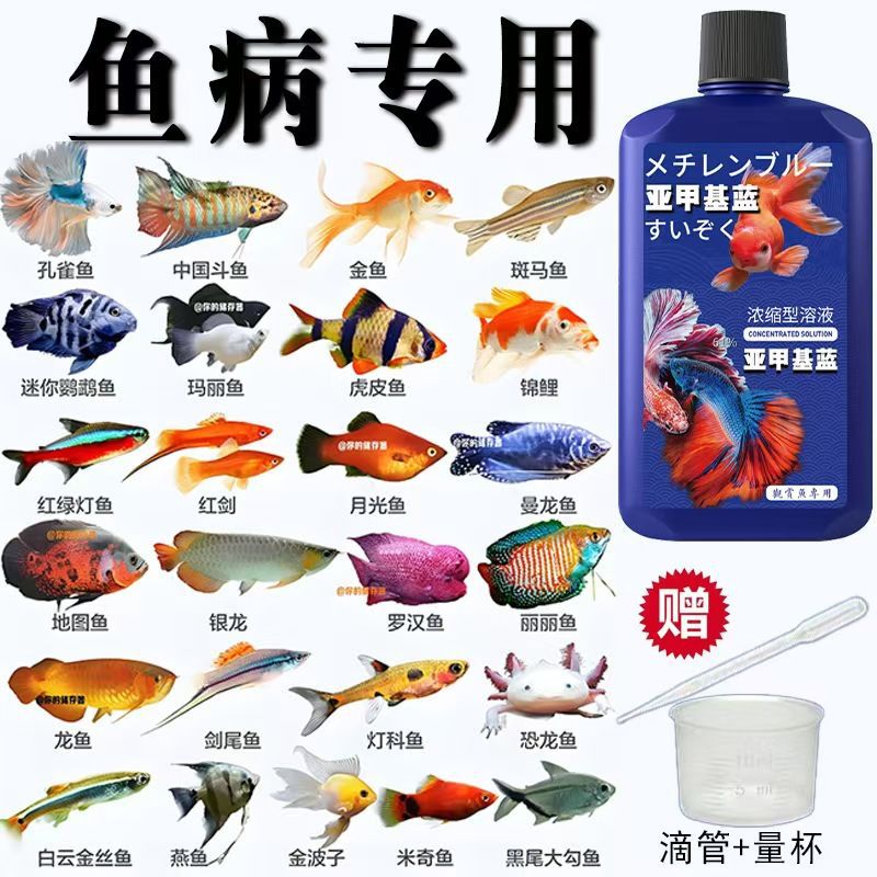 亚甲基蓝水族观赏鱼浓缩溶液鱼缸杀菌水霉病消毒白点净金鱼非鱼药