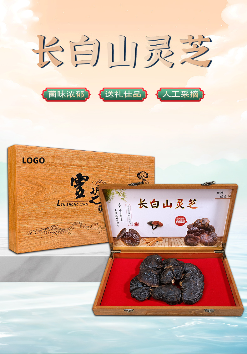 Whole Reishi Mushroom Changbai Mountain Dried Lingzhi Gift Box Nourishing Herbal Wellness overview