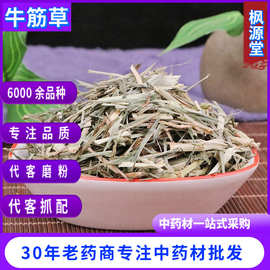 中药材批发 牛筋草 牛筋草干 新货牛筋草 冷背奇大全 量大从优