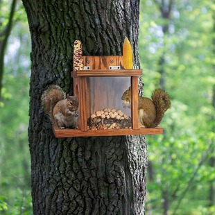 ľ�|����ιʳ�����⻨�@ι�B�� ������ιʳ��������Ʒ����Ͷʳ��