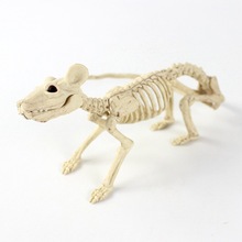 万圣节恐怖装饰品蝎子蝙蝠老鼠蜘蛛骷髅骨摆件 塑料动物骷髅骨架