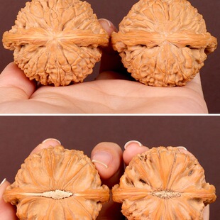 ������Ґ���ת{���^�ְѼ����]���]��������S���ֽ�ԭɫ�Ϻ���