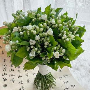 �����r�л���ϻ����r�����ò廨�[���������İ��]����������