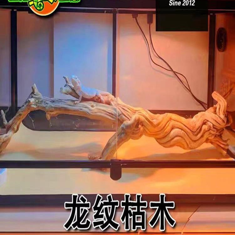 자연 태양 테이블 용 패턴 죽은 나무를 등반하는 궁전 속눈썹 뿔 뱀을 지키는 열대 갈기 사자 도마뱀 모델링 애완 동물 조경 나무 나무 서식지