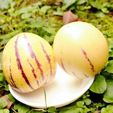 ���ʯ���˅��� ���r�˅����߲��S��A�����rˮ�����޹����] ���r