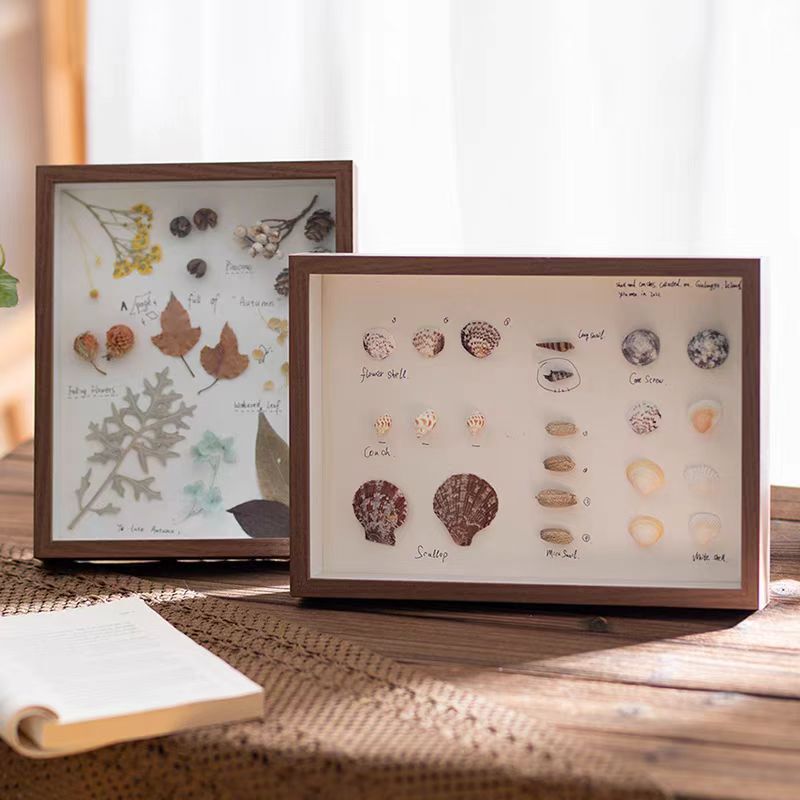 Hollow 3cm Dried Flower Photo Frame 678inch DIY Shell Leaf Decorative Picture Frame Insect Butterfly Specimen Modern Minimalist