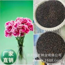 �S�����l�������л��ݱ������ذ꿵��ܰ���N���ļ������N�Ӵ�ȫ