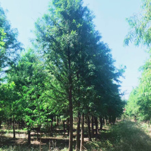 �������l�@�־G��ľ ��������ɼ��� Ҏ���Rȫ ī��������ɼ����