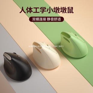 Bow Ergonomic Dual-Mode Vertical Mouse Silent Wireless Bluetooth Laptop Vertical Mouse for Women with Small Hands