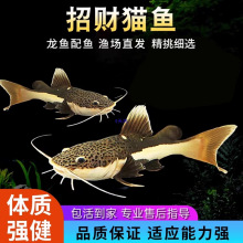 ؈�~���w�^�p�~����Ꭷ�^�p�~�tβ�tβ؈�~�����T�~���͵�ˮ