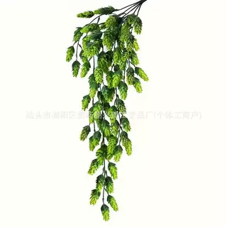 藤条5叉小松柏蕾壁挂啤酒花藤蔓植物墙配材婚庆家具装饰仿真绿植