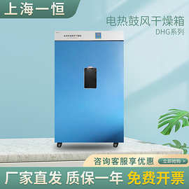 上海一恒 DHG-9420A 电热恒温鼓风干燥箱 烘箱 老化箱