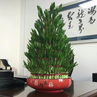 �����߸��F��ˮ�B�ļ��_�Iˮ����լ�k���҃ȾGֲ��ؔ�Y��͏d���w