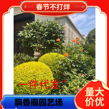 һ�����l���~����Ůؑ���ڰ���������������ͥԺ���G�ͺ�