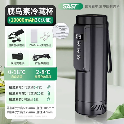 Car-Mounted Household Small Medicine | Soyuducular - elegant-black-0-18digital-display-carrying-bag-10k-mah