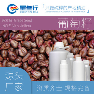 �ЙC�������� �������M�����w��Ħ�����̝����䉺ֲ�������ԭ��