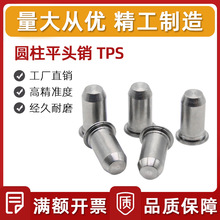 圆柱平头销TPS 导向销压铆销钉 圆柱平头销 定位销压铆销钉规格全