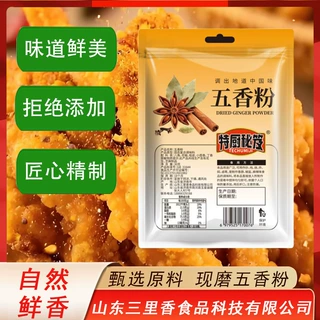 五香粉家用商用炒菜复合调味料烧烤烤肉腌料蘸料五香面五香调味粉