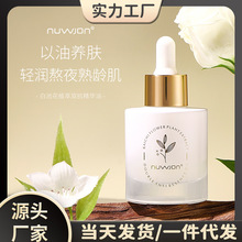 ����׳ػ�ֲ���p�����A�� �aˮ�����̝����y����Ę�����AҺ��