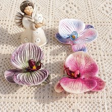 花头仿真花兰花EVA棉3D印刷蝴蝶头（大）伴手礼花材奶茶色蝴蝶兰