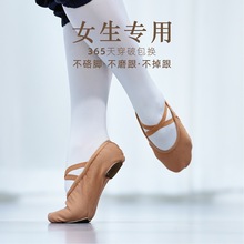 棕色芭蕾舞鞋女软底鞋帆布成人专业跳舞练功舞蹈鞋猫爪鞋成人